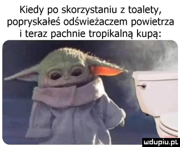 kiedy po skorzystaniu z toalety popryskałeś odświeżaczem powietrza i teraz pachnie tropikalną kupą