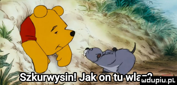 a ludupiu. pl