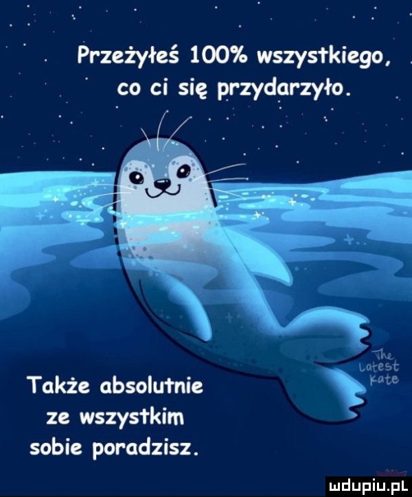 przeżyłeś     wszystkiego. co ci się przydarzyło. lowest także absolutnie m ze wszystkim sobie poradzisz