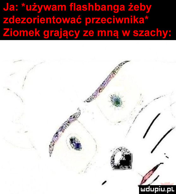 Obrazek
