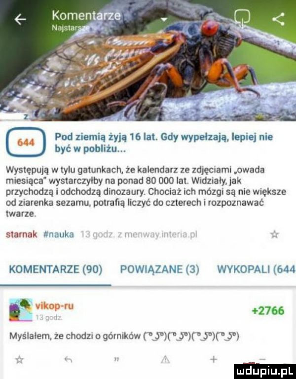 pad ziemią zują    lat. gdy wypełzają lepiej nie być w poblizu. występują w tylu gatunkach ze kalendarz ze zdjęciami owada mlesląca wystarczyłby na ponad    bdb ibl wldzlaly ak przychodzą i odchodzą dinozaury chociaż ich mózgi są nie większe od ziarenka sezamu. potrafią uczyć do czterech rozpoznawać twarze slamak nmukj komentarze  u powiązane   wvkopalk h   w      myślałem ze chodzi o govnlkdw nmnywrwy ludki l