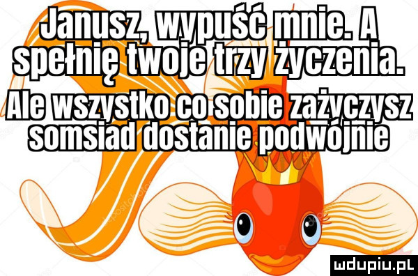 janusz wypuść mnie. a spełnię e    ws. s-ko en sobie  ch. sz