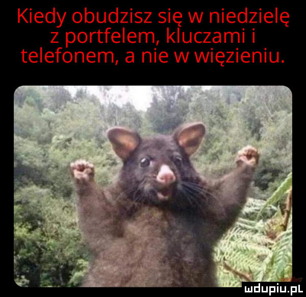 kiedy obudzisz się w niedzielę   portfelem kluczami i telefonem a nie w więzieniu