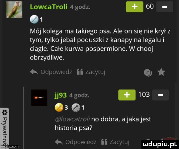 lowcatrnii  godz. abakankami      mój kolega ma takiego psa ale on się nie krył z tym tylko eda poduszkl z kanapy na legalu i ciągle. całe kanna pospermione. w chen obrzydliwe. ed ii zacytuj jj   godz       q . u zm znodobra ajakajest historia psa cal  x odpowiedz ii z adupaqul