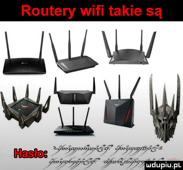 routery wifi takie są wiew mew w