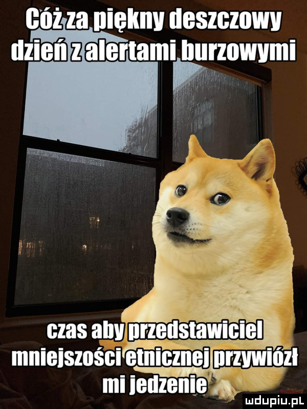 cóż za uięlmv deszczowy dzień alertamillurzowvmi ąę