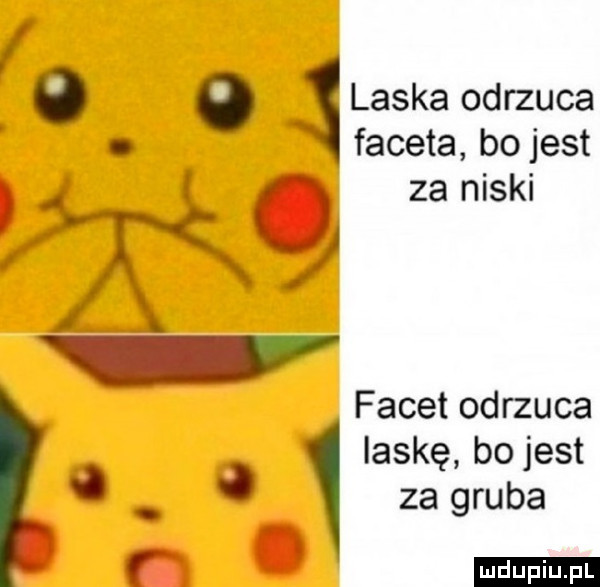 o o laska odrzuca. faceta bo jest facet odrzuca laskę bo jest. za gruba c za niski x i r