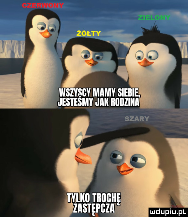 czerwony wszyscy mamy siebie. jeelesmy jak iiabziiia tylko tadgęę zastępcza