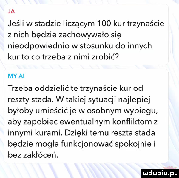 ja jeśli w stadzie liczącym     kur trzynaście z nich będzie zachowywało się nieodpowiednio w stosunku do innych kur to co trzeba z nimi zrobić my ai trzeba oddzielić te trzynaście kur od reszty stada. w takiej sytuacji najlepiej byloby umieścićje w osobnym wybiegu aby zapobiec ewentualnym konfliktom z innymi kurami. dzięki temu reszta stada będzie mogla funkcjonować spokojnie i bez zakłóceń. ludu iu. l