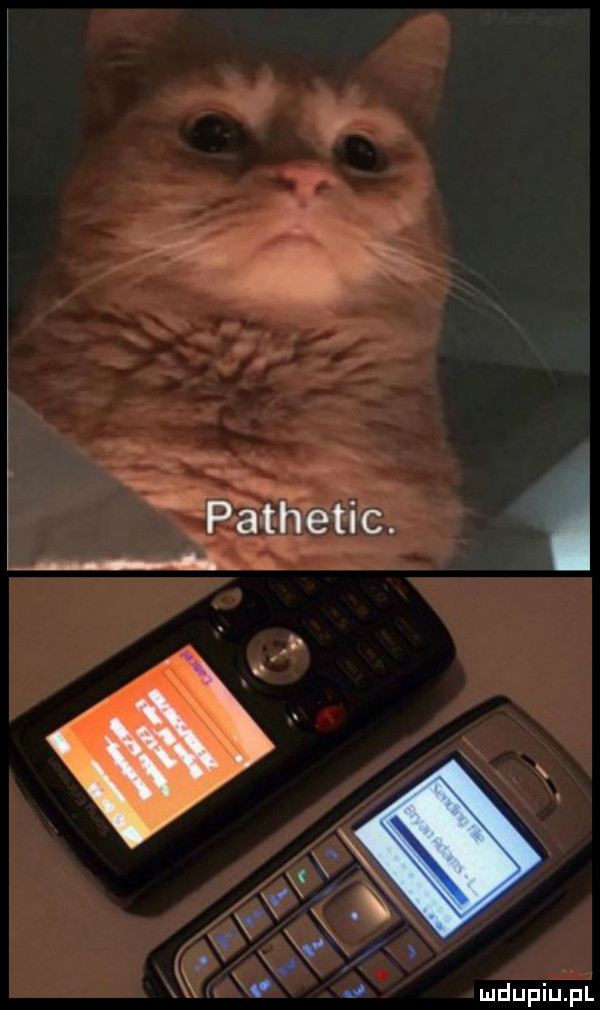 pathetic m i ludupiu. pl