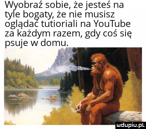 wyobraź sobie że jesteś na ty e bogaty że nie musisz oglądac tutioriali na youtube za każdym razem gdy coś się psuje w domu