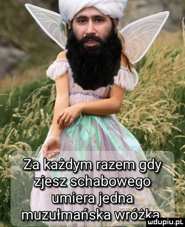 Obrazek