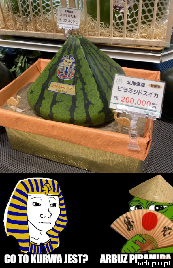 qu bai m lan iii u