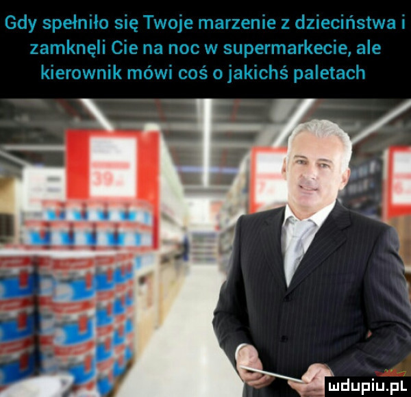 ludupiinl