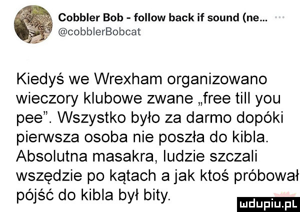 cobbler bob fellow beck if sound ne. cobblerbobcat kiedyś we wrexham organizowano wieczory klubowe zwane free tall y-u pfe. wszystko było za darmo dopóki pierwsza osoba nie poszła do kibla. absolutna masakra ludzie szczali wszędzie po kątach a jak ktoś próbował pójść do kibla był bity