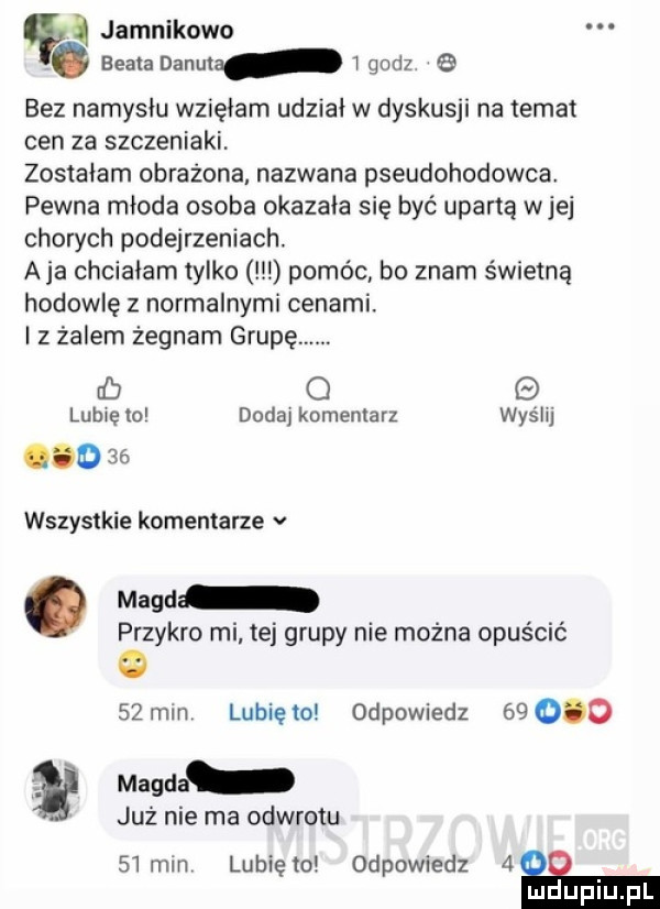 q i jamnikowo. beata danuta i godz   bez namyslu wzielam udzial w dyskusji na temat cen za szczeniaki. zostalem obrażona nazwana pseudohodowla pewna mloda osoba okazała się być upartą wie chorych podejrzeniach a ja chcialam tylko pomóc bo znam świetną hodowlę z normalnymi cenami. i z żalem żegnam grupę. rb o g lubię to dodaj komentarz wyślij ooo    wszystkie komentarze v. magd przykro mi tej grupy nie można opuścić   mm lunięto odpowiedz       magda już nie ma odwrotu   mm lunięto odpowiedz   . ludupiu pl