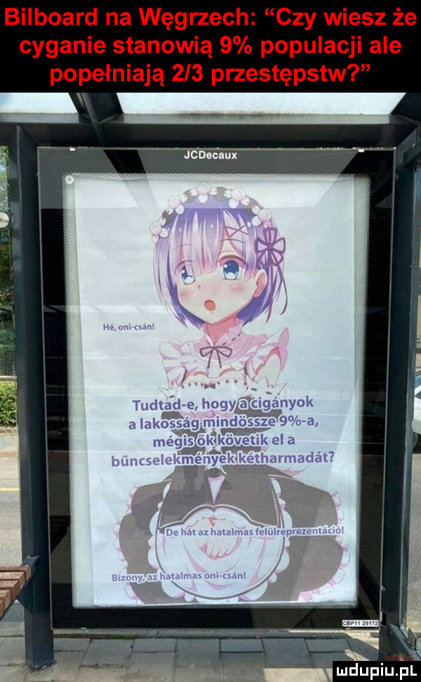 bilboard na węgrzech czy wiesz że cyganie stanowią   populacji ale popełniają     przestępstw ludupiujalr