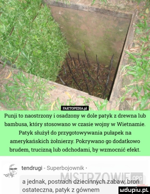 tendrugi superbojownik a jednak postrach dziecinnych zabaw broń ostateczna patyk z gównem