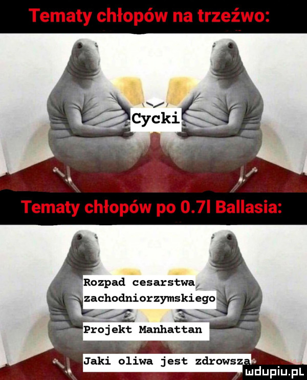 tematy chłopów na trzeźwo tematy chłopów po    i ballasia rozpad cesarstwa zachodniorzymskiemu f projekt manhattan jaki. oliwa jest zdraws. abakankami. mduplu pl