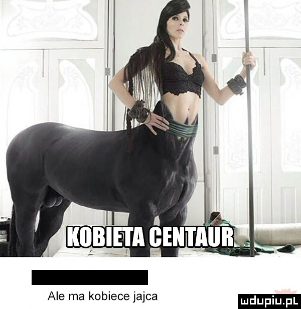 ale ma kobiece jajca
