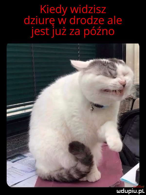 Obrazek