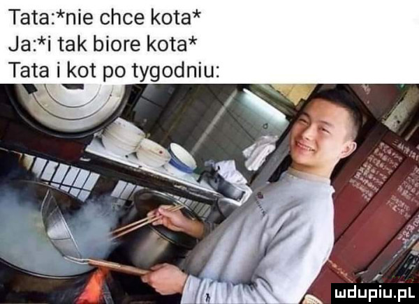 tata nie chce kota ja i tak biore kota tata i kot po tygodniu k