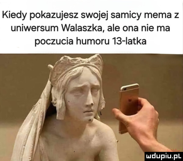 kiedy pokazujesz swojej samicy mema z uniwersum walaszka ale ona nie ma poczucia humoru    iatka