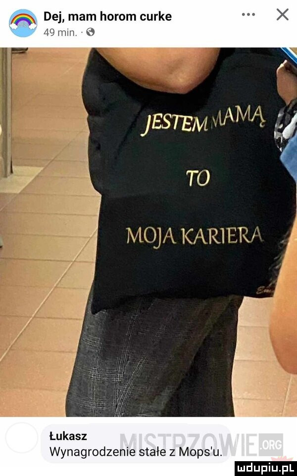 dej mam horom curie    mm   łukasz wynagrodzenie stałe z mops u