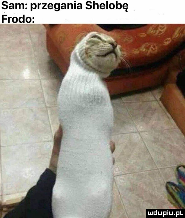 sam przegania shelobę frodo