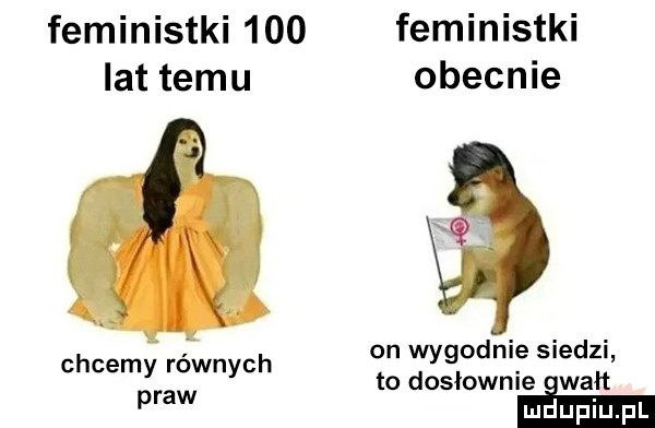 feministki     feministki lat temu obecnie chcemy równych  n wygodnie siedzi praw to dosłownie elan