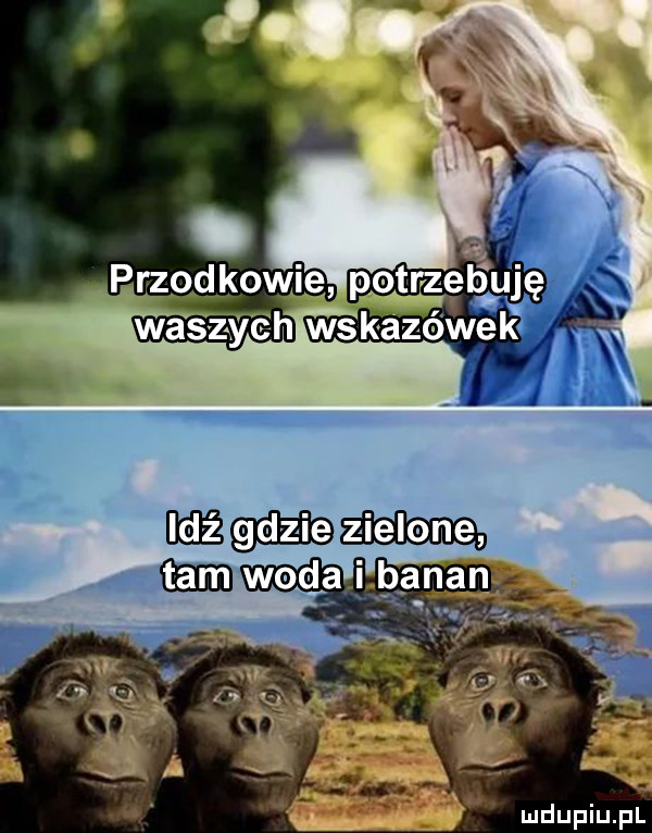 Obrazek