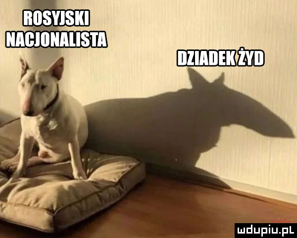 nagiqnmis i a mm