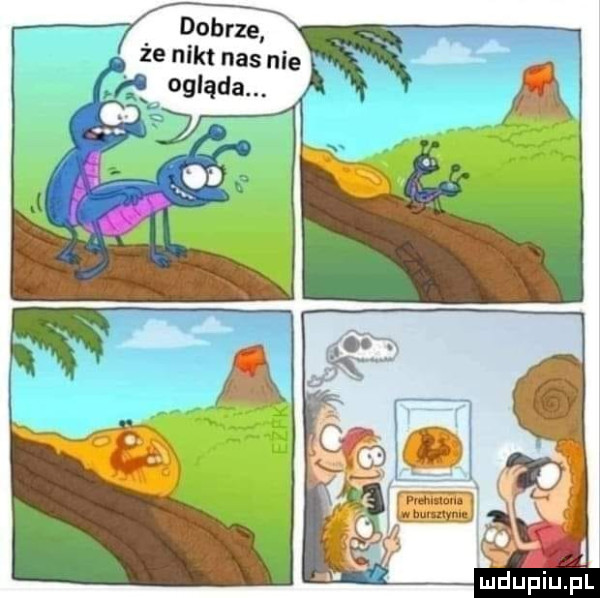 dobrze że nikt nas nie