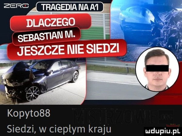 kopyt    siedzi w ciepłym kraju