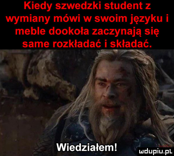 kiedy szwedzki student z wymiany mówi w swoim języku i meble dookoła zaczynają się same rozkładać składać. abakankami uk wledzmłem vuuupiufa