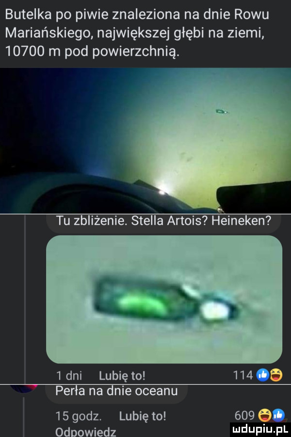 butelka po piwie znaleziona na dnie rowu mariańskiego największej głębi na ziemi       m pod powierzchnią. tu zbliżenie. stella artois heineken   dni lunięto     ma perła na dnie oceanu    godz. lubię to     e b odpowiedz