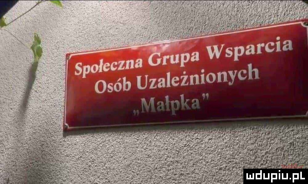 Obrazek