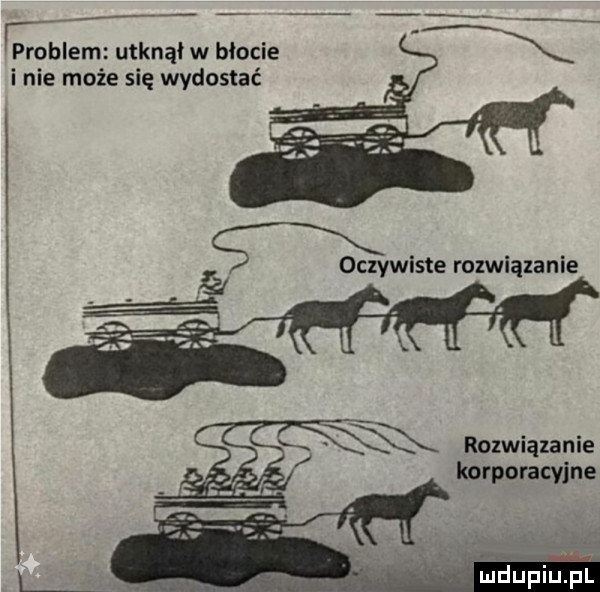 problem utknął w błocie i nie może się wydostać oczywiste rozwiązanie śl rozwiązanie korporacyjne ehiniupl