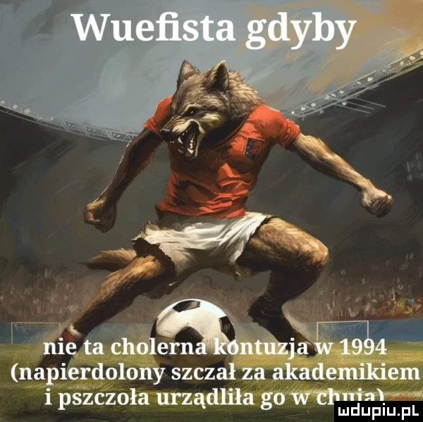 in k nie ta cholern taja      napierdolony szczał za akademikiem mw i pszczoła urzadlila go mudupiu. pl