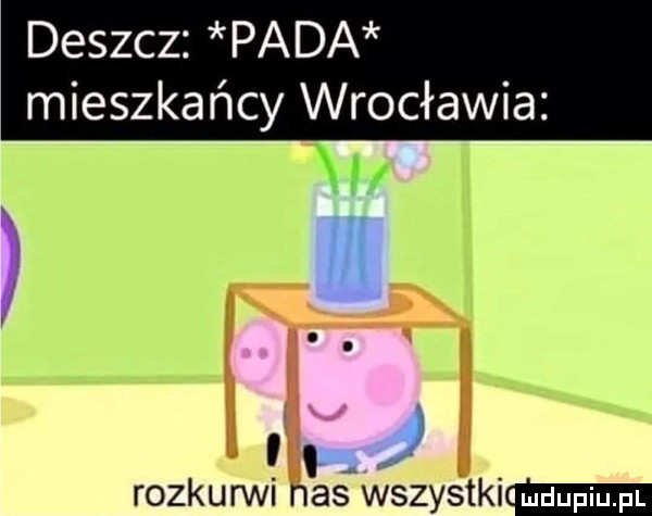 deszcz pada mieszkańcy wrocławia w