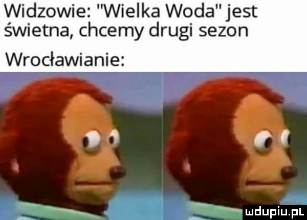 widzowie wielka woda jest świetna chcemy drugi sezon wrocławianie   fl humping