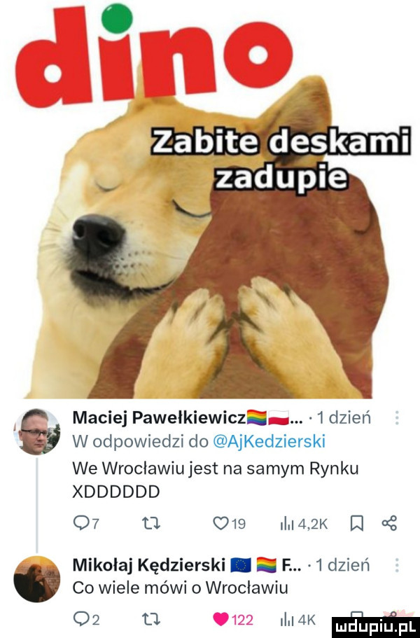 maciej pawelkiewicz ę.   dzień w odpowiedzi do ajkedzierski we wrocławiu jest na samym rynku xdddddd o  o o   i    k i   mikolaj kędzierski. i f.   dzień co wiele mówi o wrocławiu o  tl i  k m