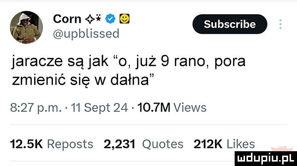 cern   i upblissed jaracze są jak o już   rano pora zmienić się w dagna      pm.    seat        m views     k reposts       quotes    k limes ludu iu. l