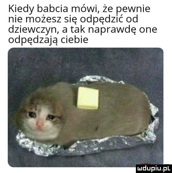 kiedy babcia mówi że pewnie nie możesz się odpędzić od dziewczyn a tak naprawdę one odpędzają ciebie