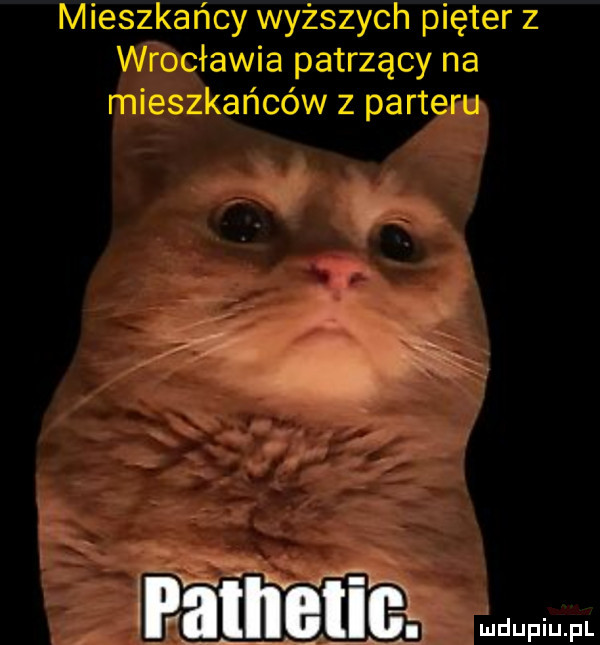 mieszkańcy wyższych pięter z wrocławia patrzący na mieszkańców z parteru