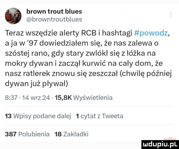 brown trout blues browmroutblues teraz wszędzie alerty rab i hashtagi powodz aja w    dowiedzialem się że nas zalewa o szóstej rano gdy stary zwlókl się z lózka na mokry dywan i zaczął kurwić na caly dom że nasz ratlerek znowu się zeszczal chwilę później dywanjuż plywal         w-z        k wyświetlenia    wpisy podane dalej   cytat z tweeta     polubienia    zakladki