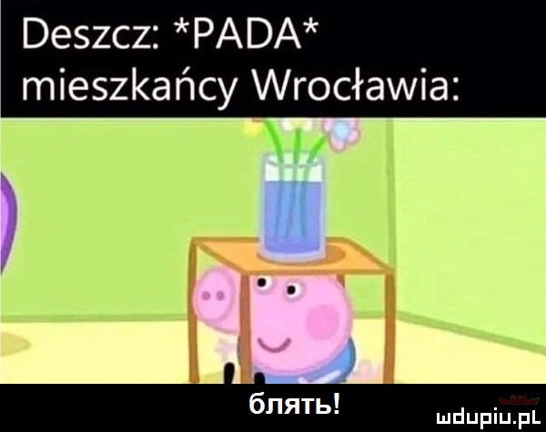 deszcz pada mieszkańcy wrocławia