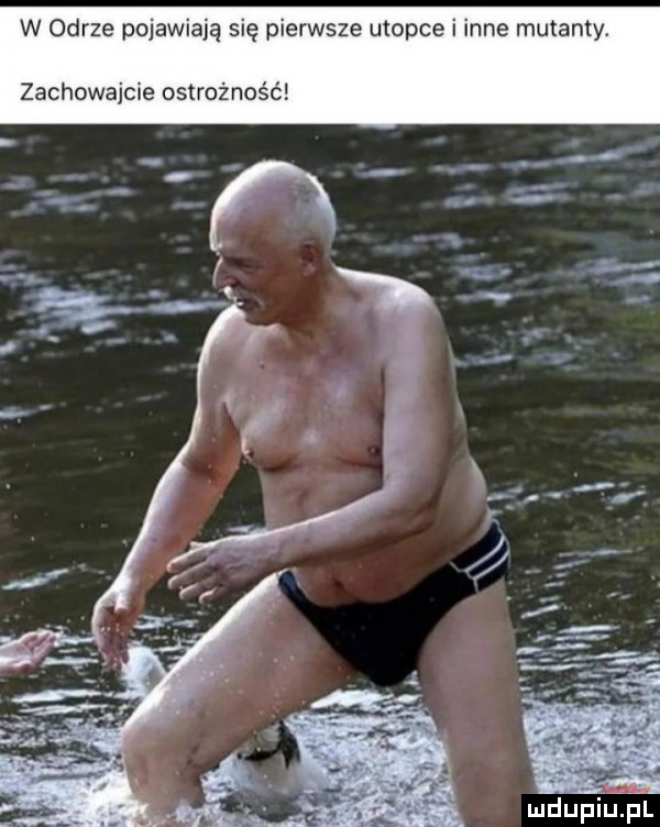 w odrze pojawiają się pierwsze utopie i inne mutanty. zachowajcie ostrożn ć
