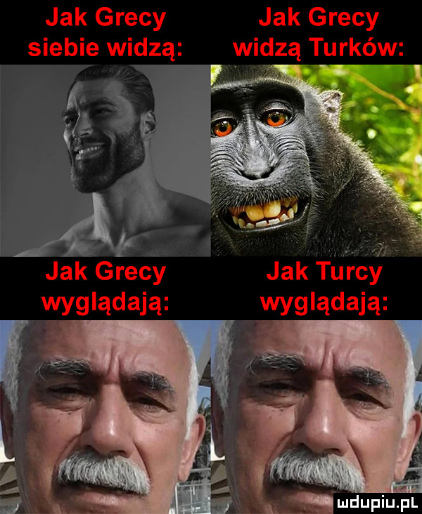 jak grecy jak grecy siebie widzą widzą tu rkówcl k. l a bi i. l a. t jak grecy jak turcy wyglądają xi. abakankami wyglądają