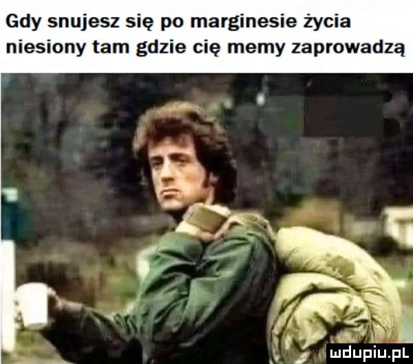 gdy snujesz się po marginesie życia niesiony tam gdzie cię memy zaprowadzą ją. i q